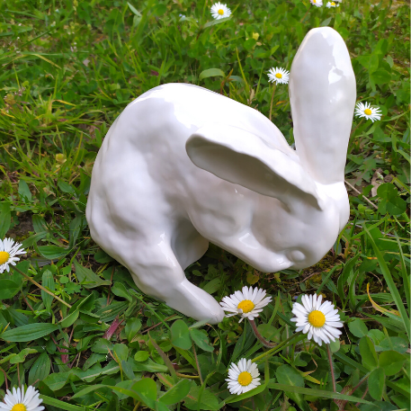 White rabbit